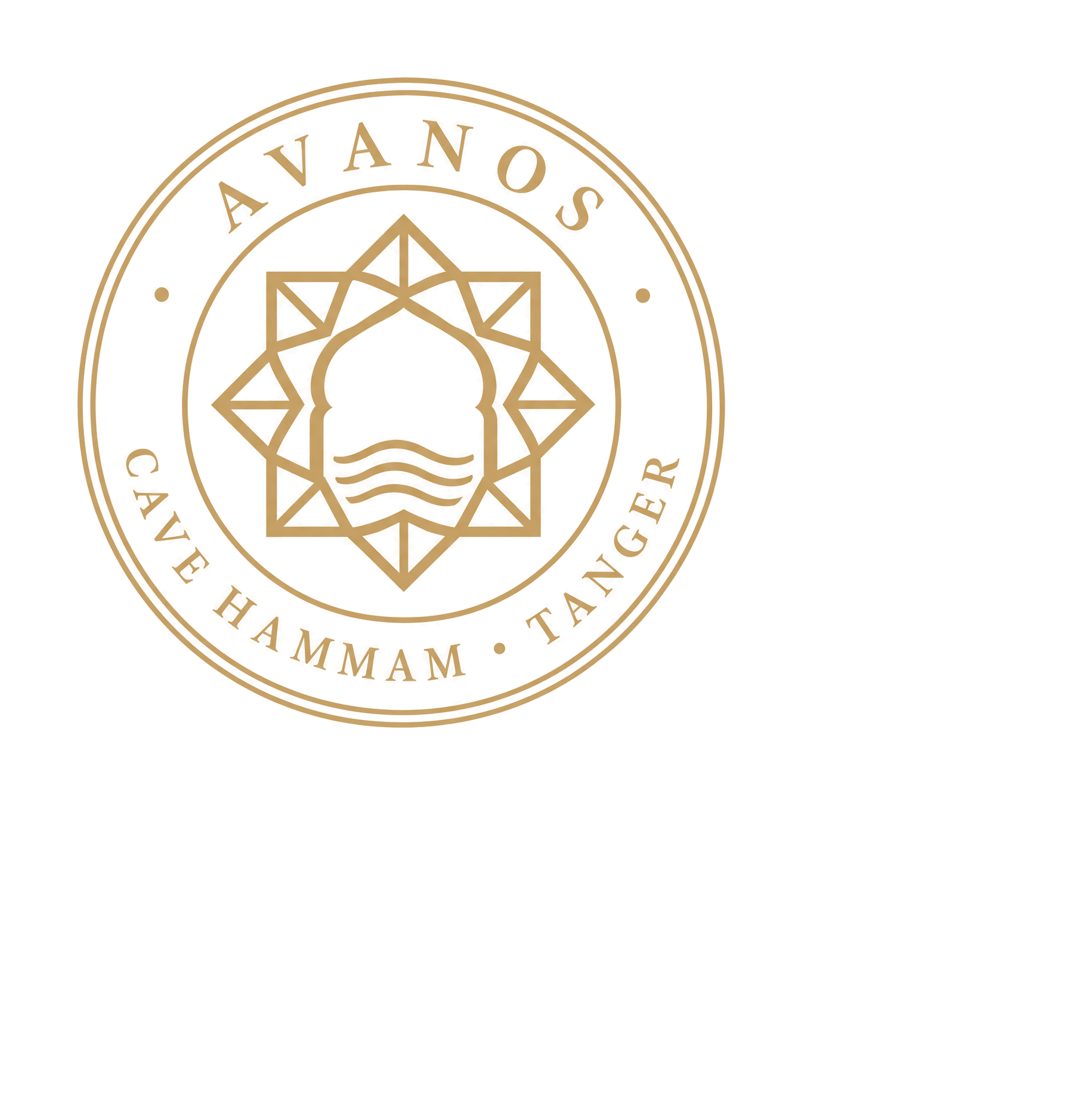 Avanos Logo C Primary